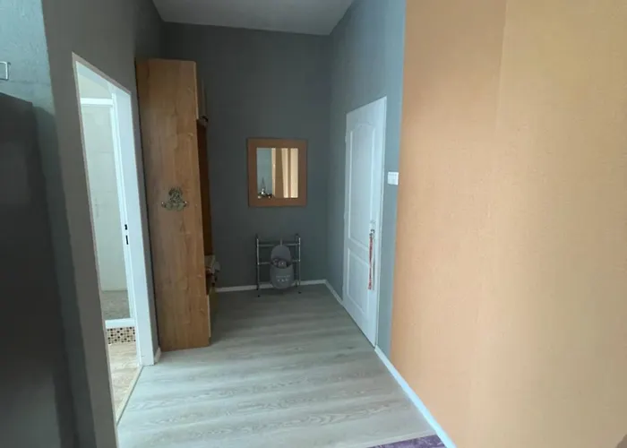 Appartement U Vity